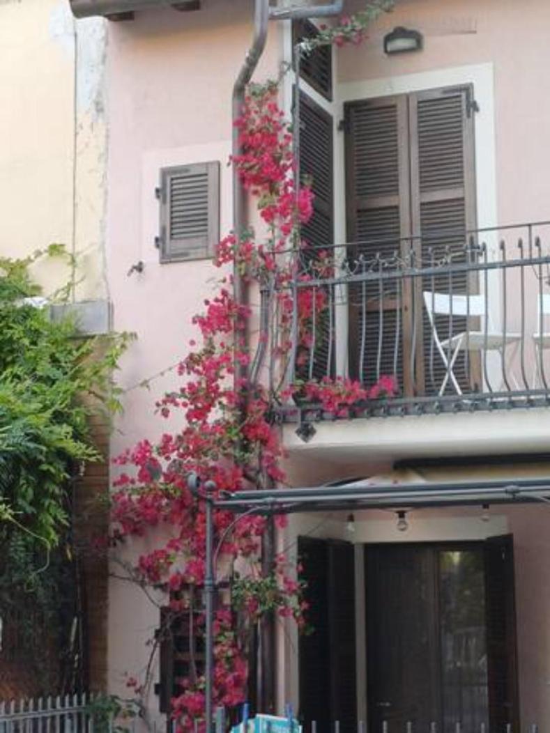 Bouganville House Senigallia Exterior photo